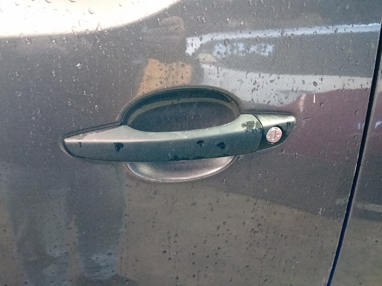 Poignée de porte avant gauche