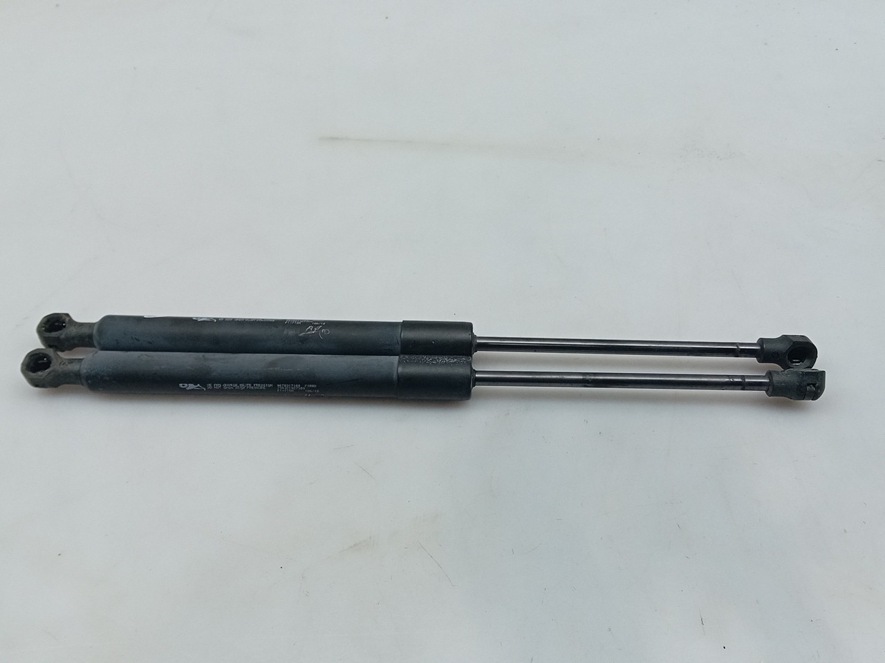 Trunk Shock Absorber