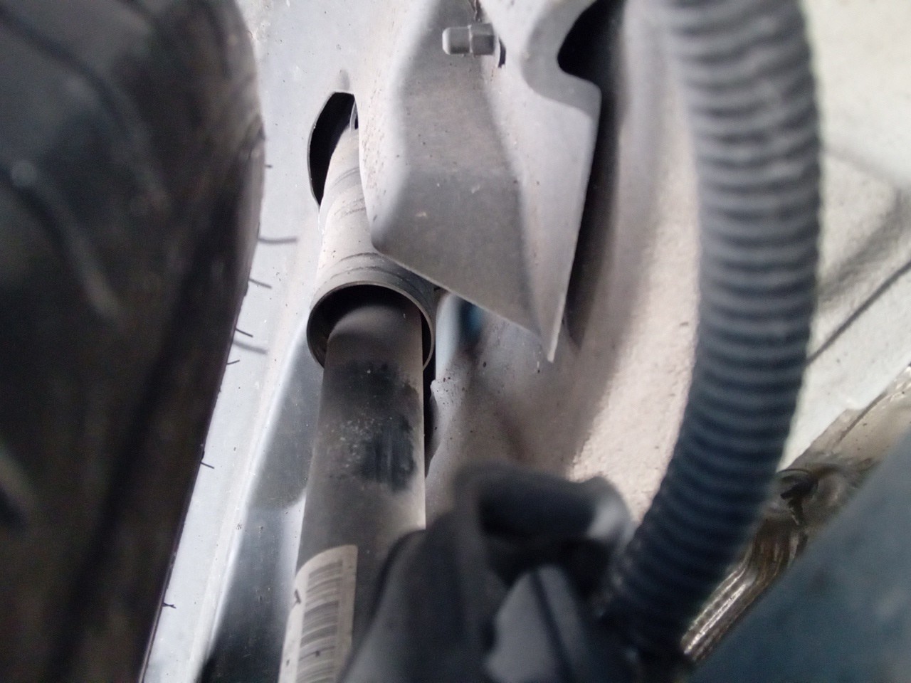 Right Rear Shock Absorber