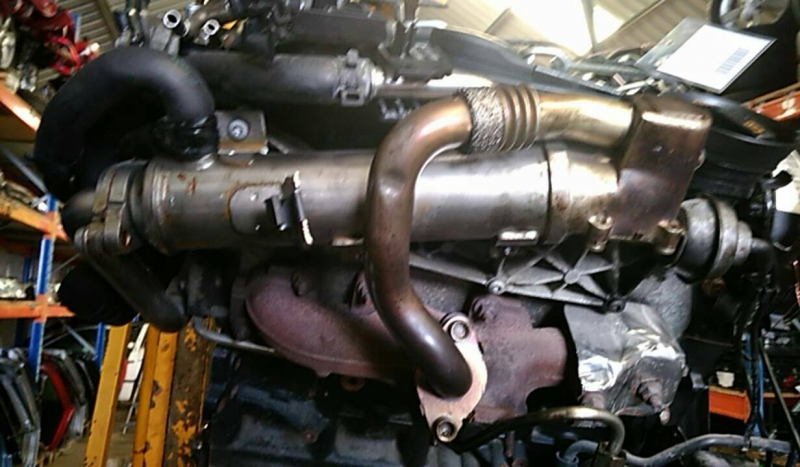 EGR gas radiator