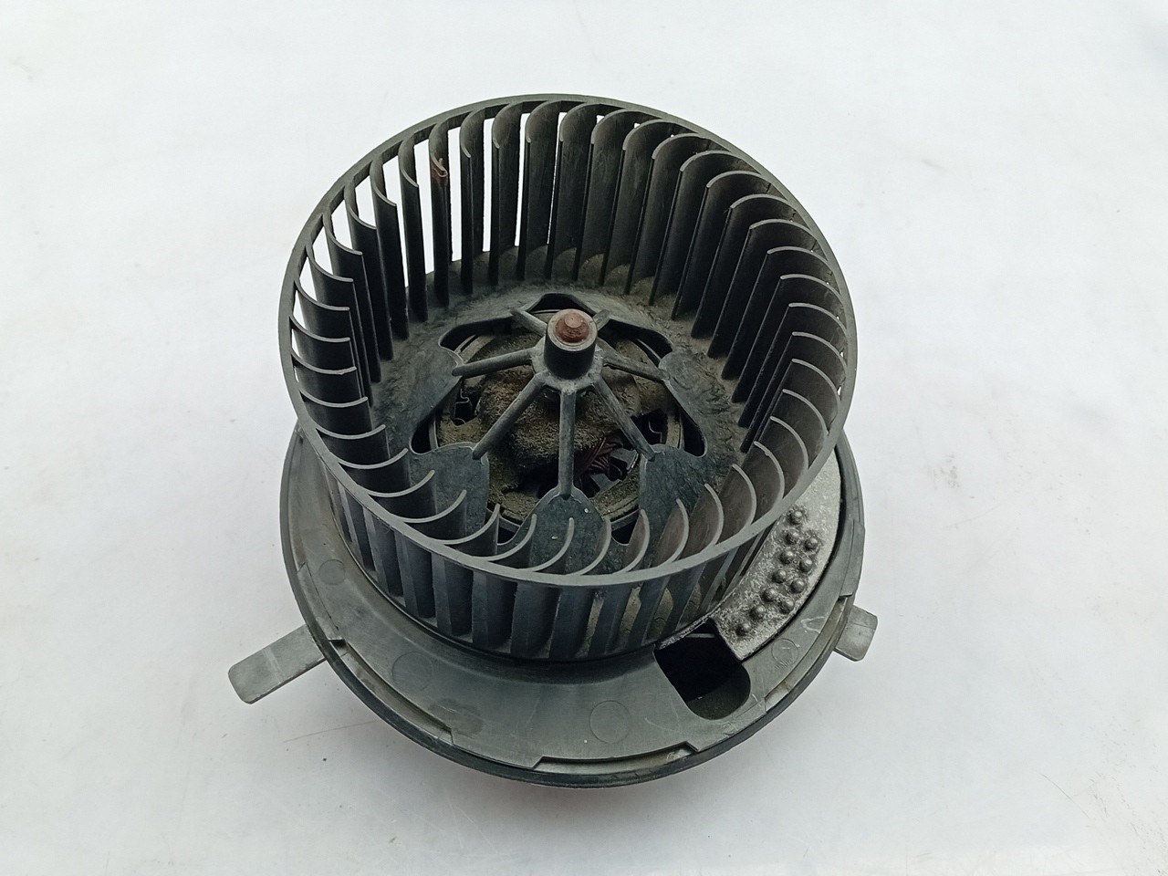 Heater Blower Motor