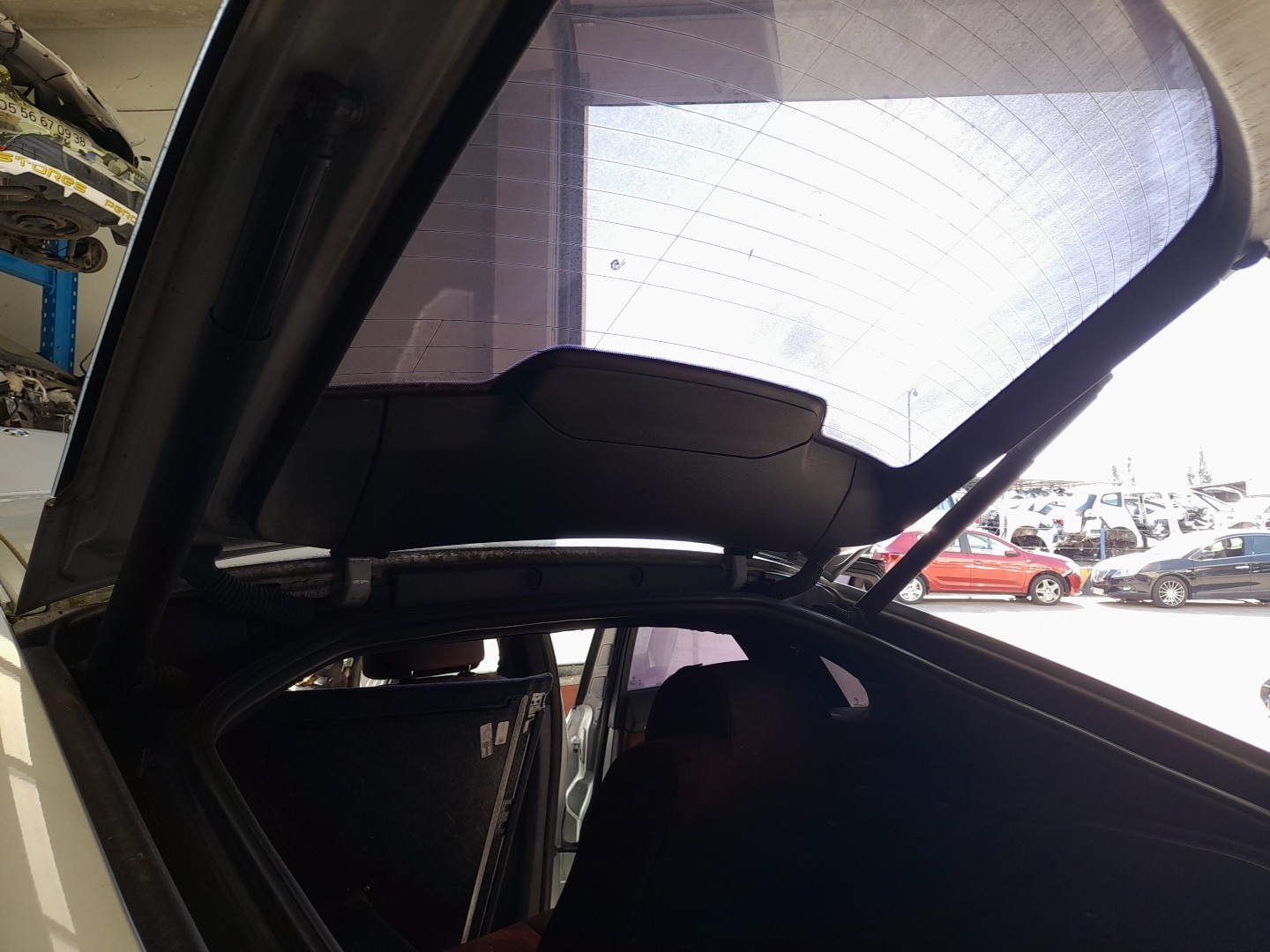 Trunk Shock Absorber