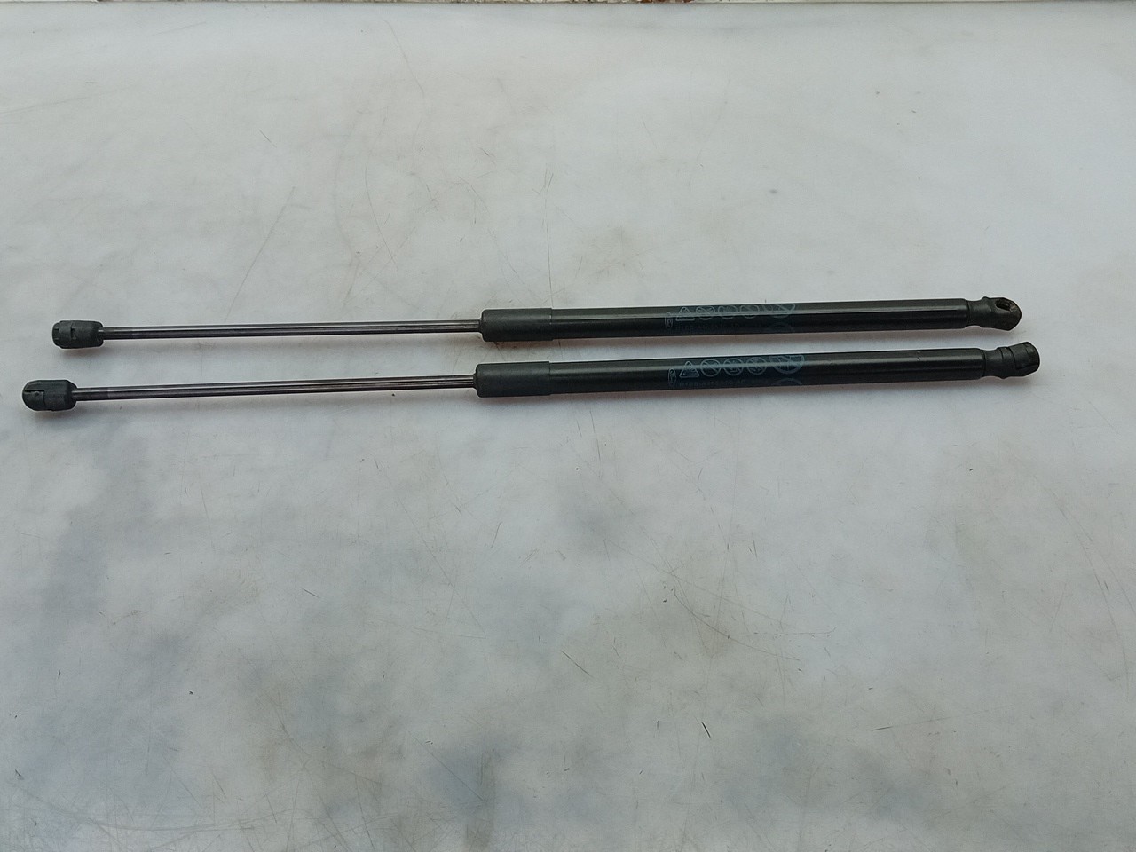Trunk Shock Absorber