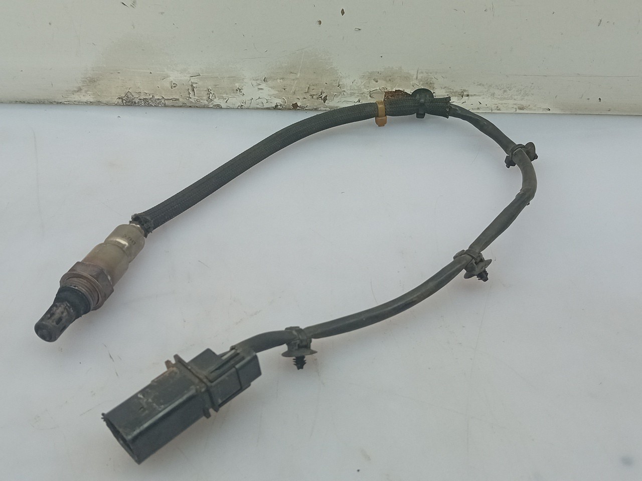 Sonda lambda