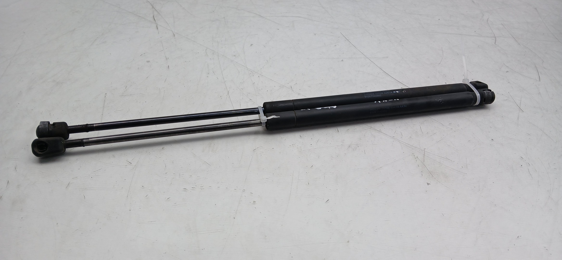 Trunk Shock Absorber