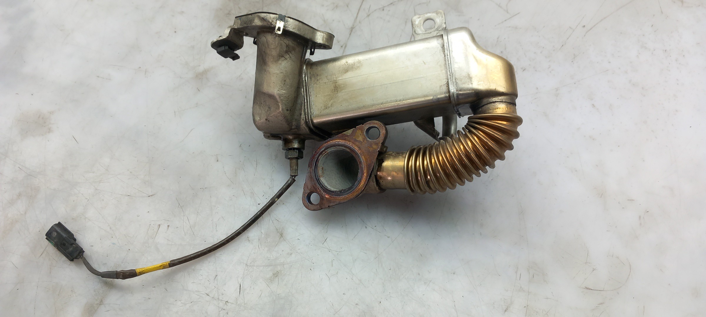 Radiador de gases / EGR NISSAN Qashqai/Qashqai+2 I (J10, JJ10) Imagem-1
