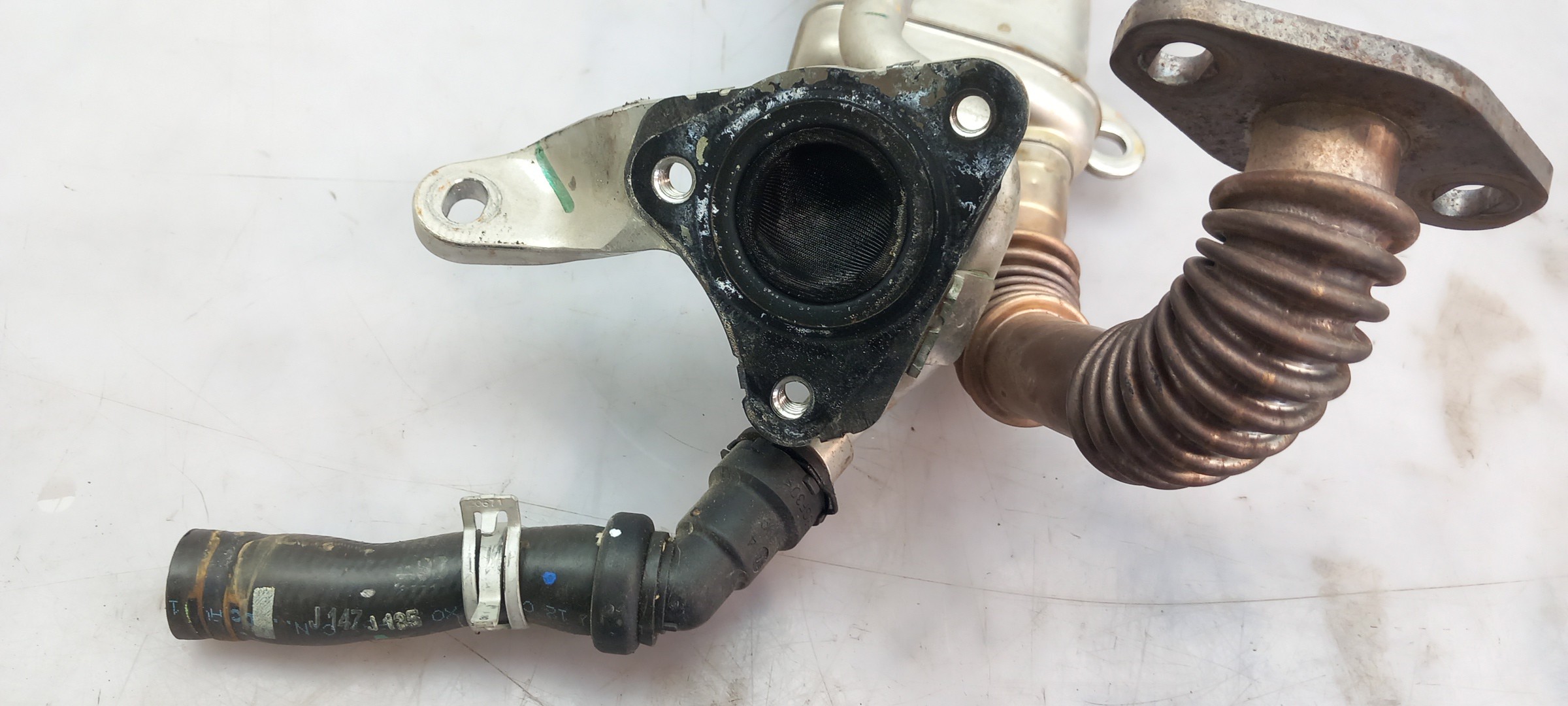 Radiador de gases / EGR NISSAN Micra V (K14) Imagem-1