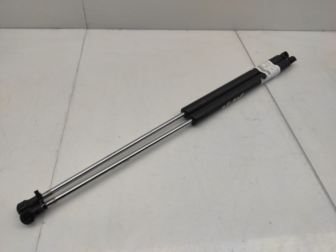 Trunk Shock Absorber