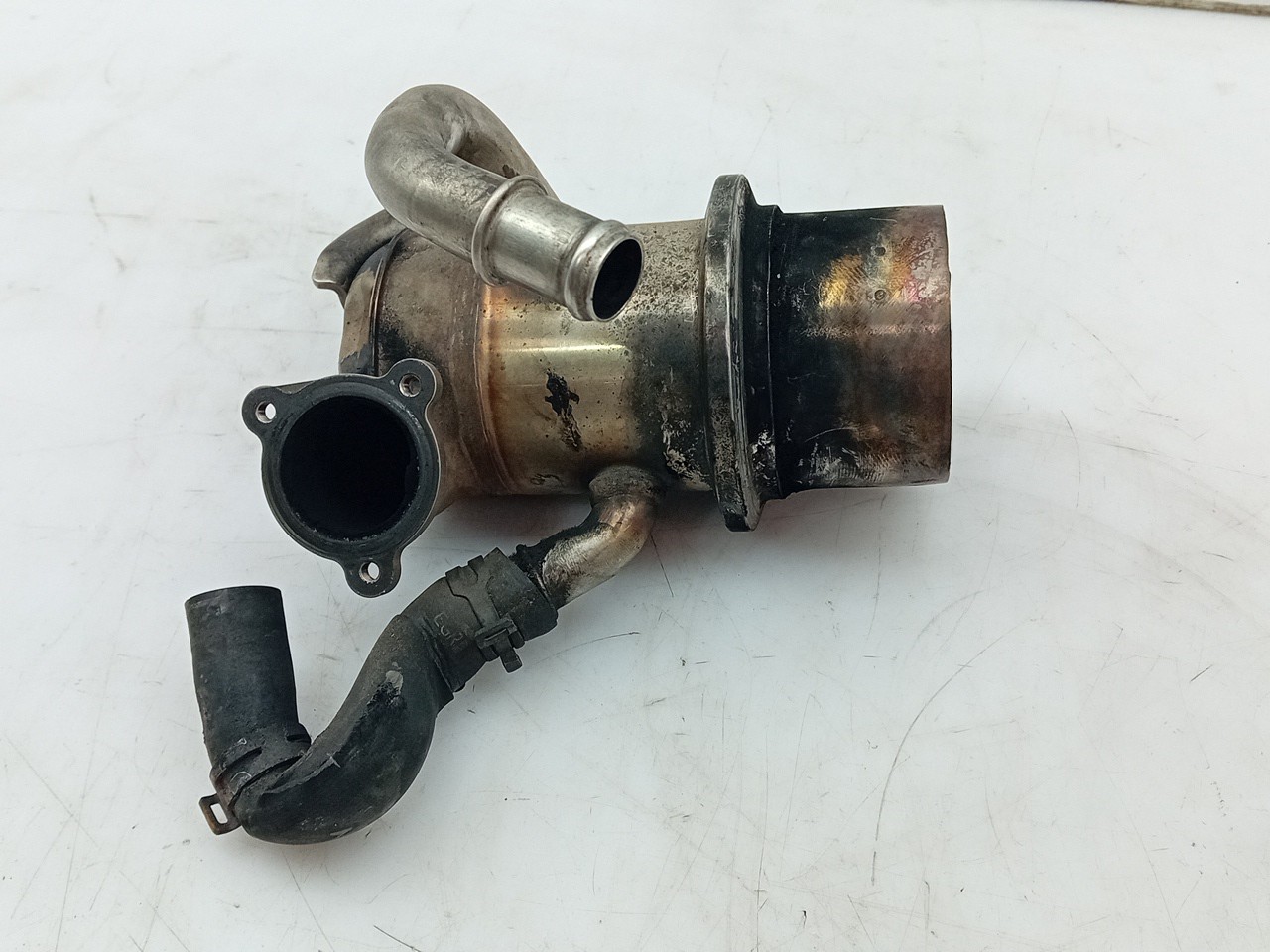 Radiador de gases / EGR SEAT Leon ST (5F8) Imagem-1