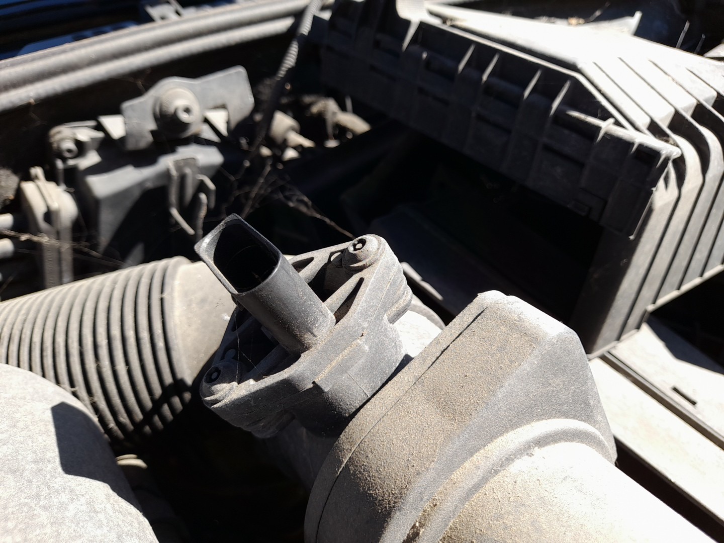 Mass Air Flow Sensor (MAF)