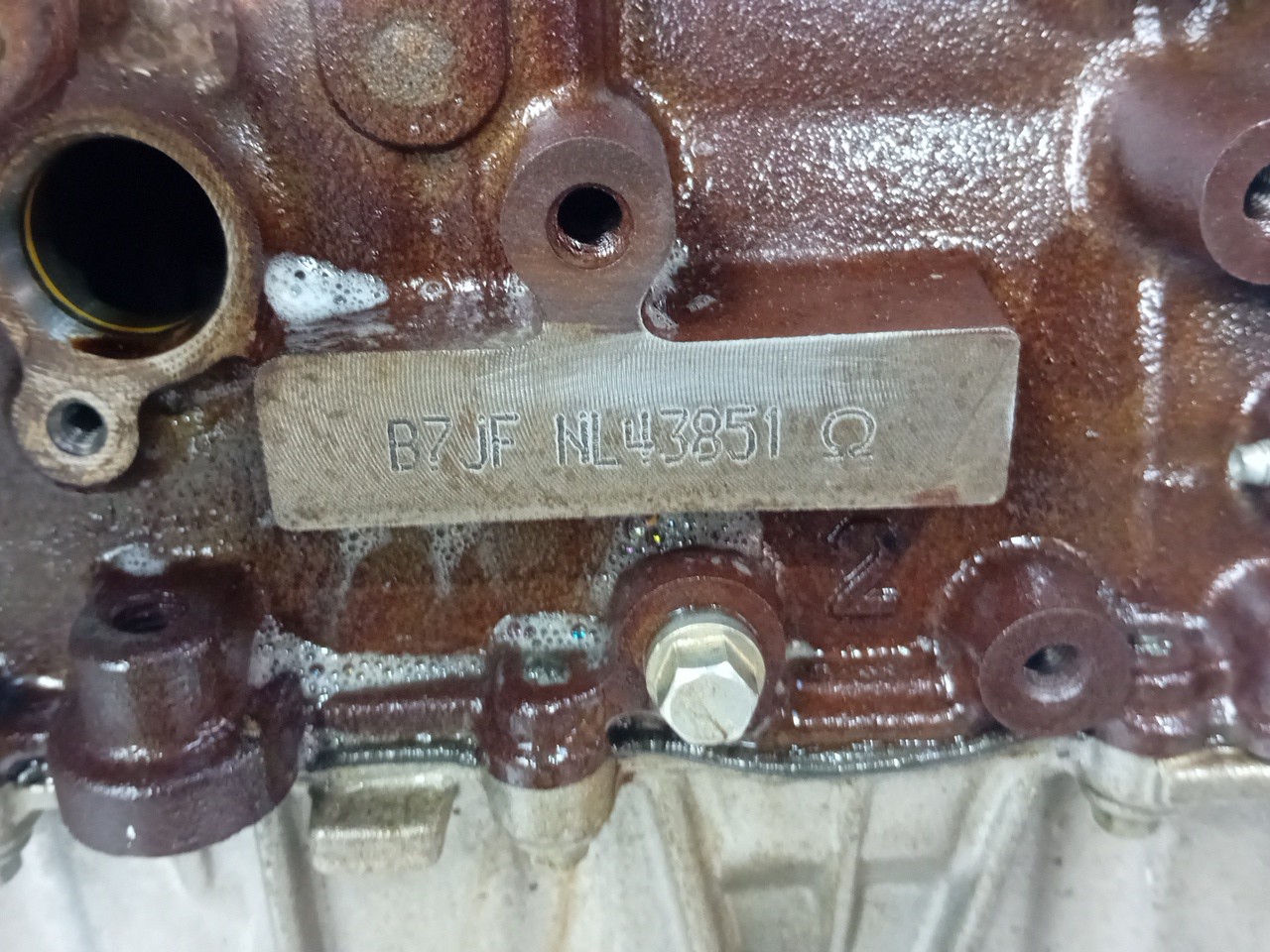 Motor completo FORD Puma (J2K, CF7) Imagem-4