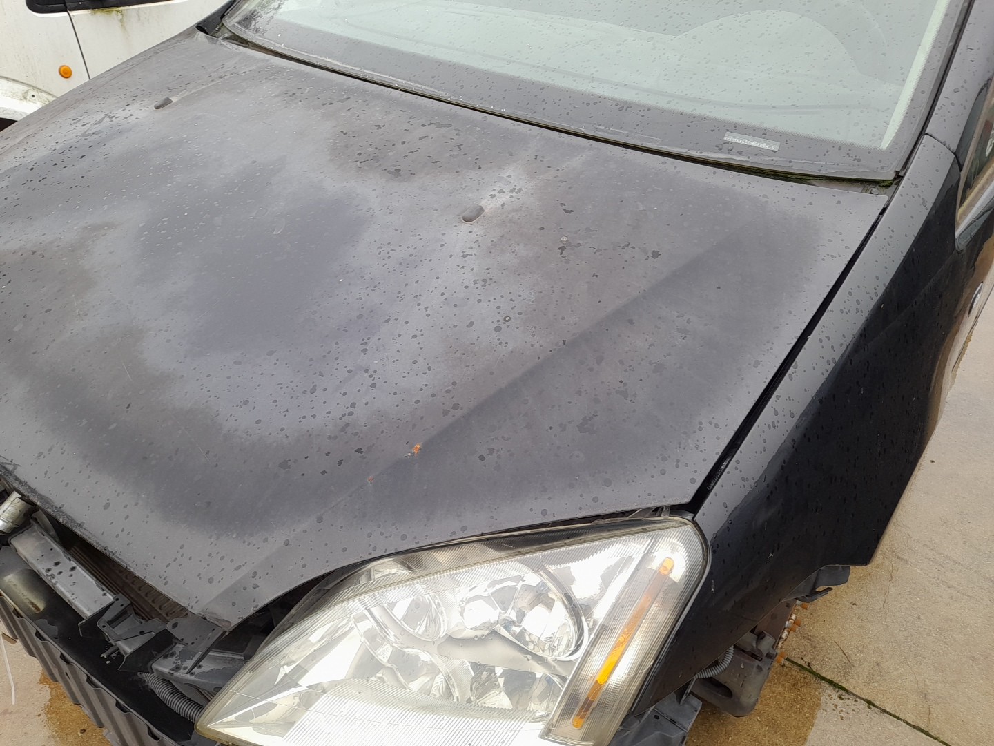 Capot FORD Focus C-Max (DM2) Imagem-2