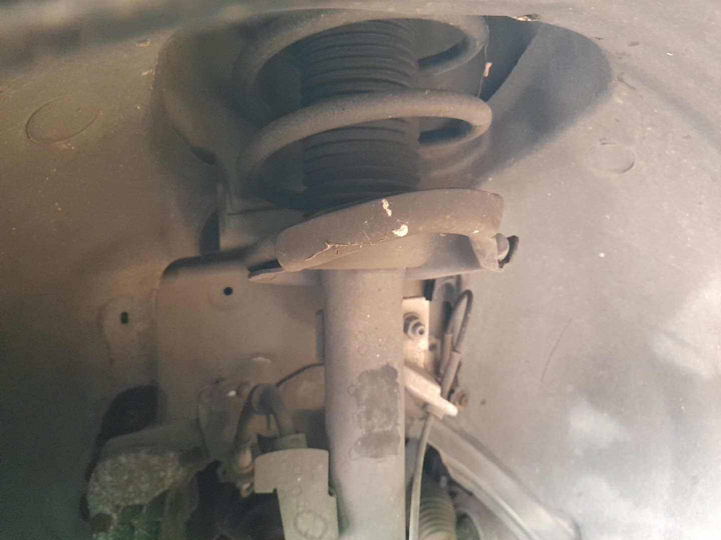 Ammortizzatore Anteriore Sinistro FORD Focus C-Max (DM2) Imagem-0