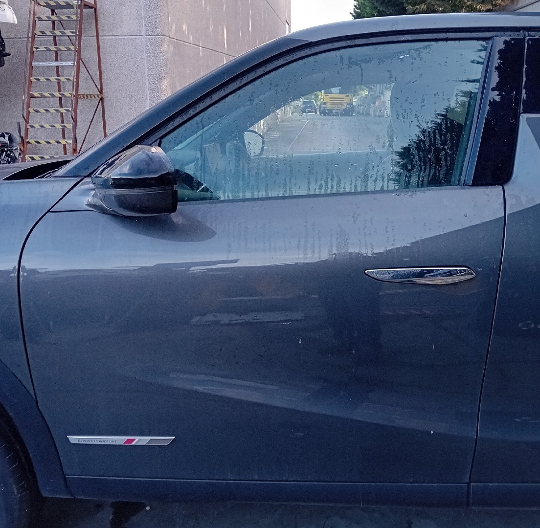 Porte avant gauche