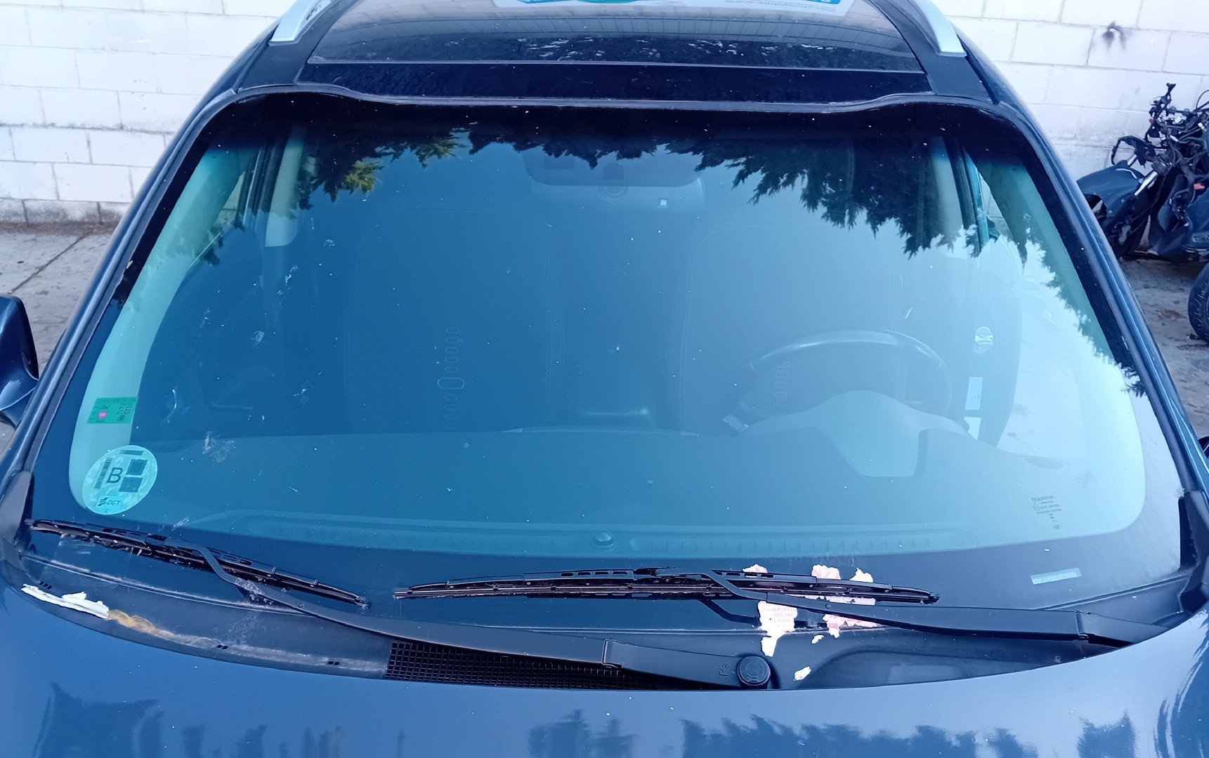 Windshield / Windscreen