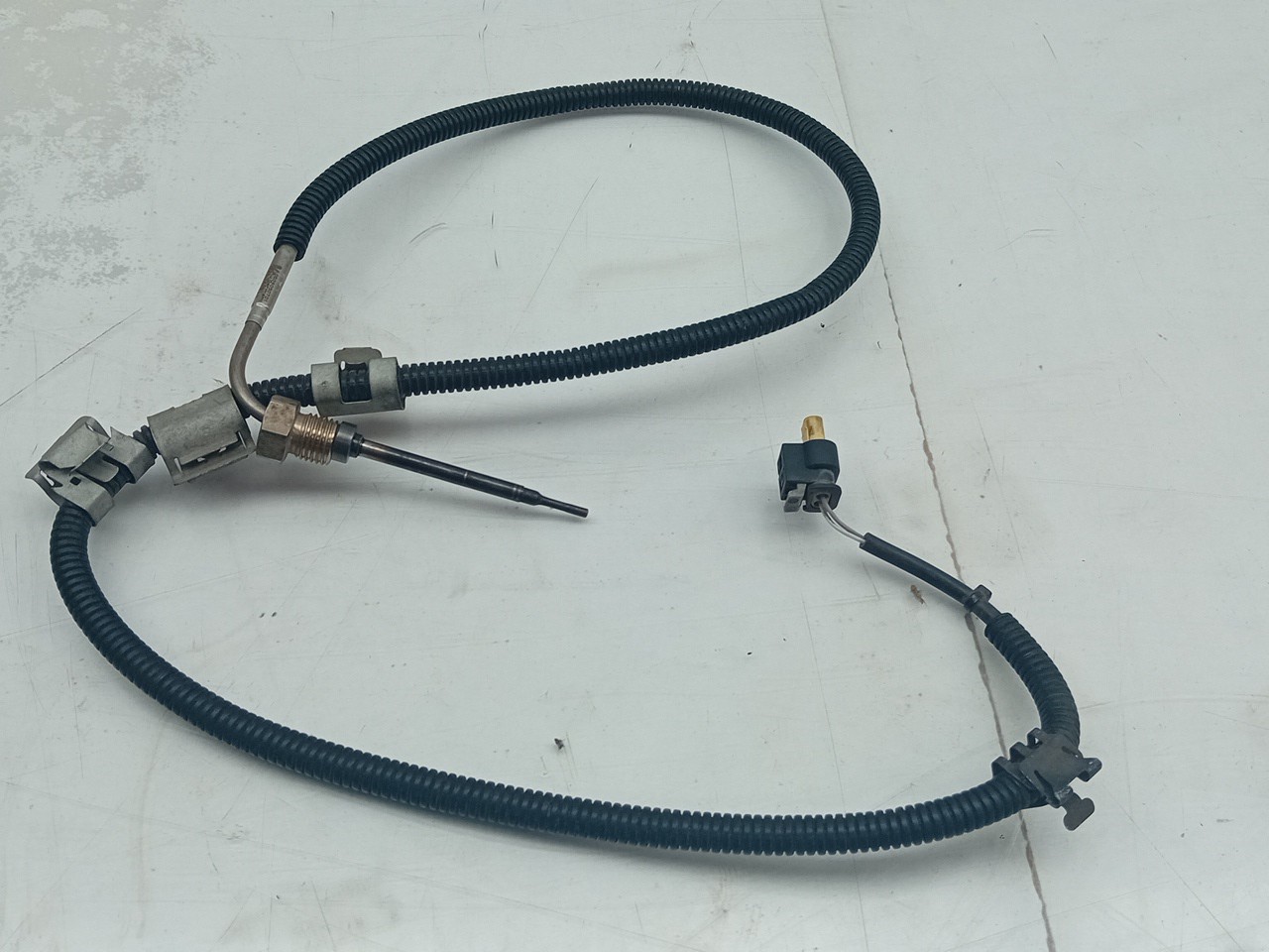 Sonde lambda
