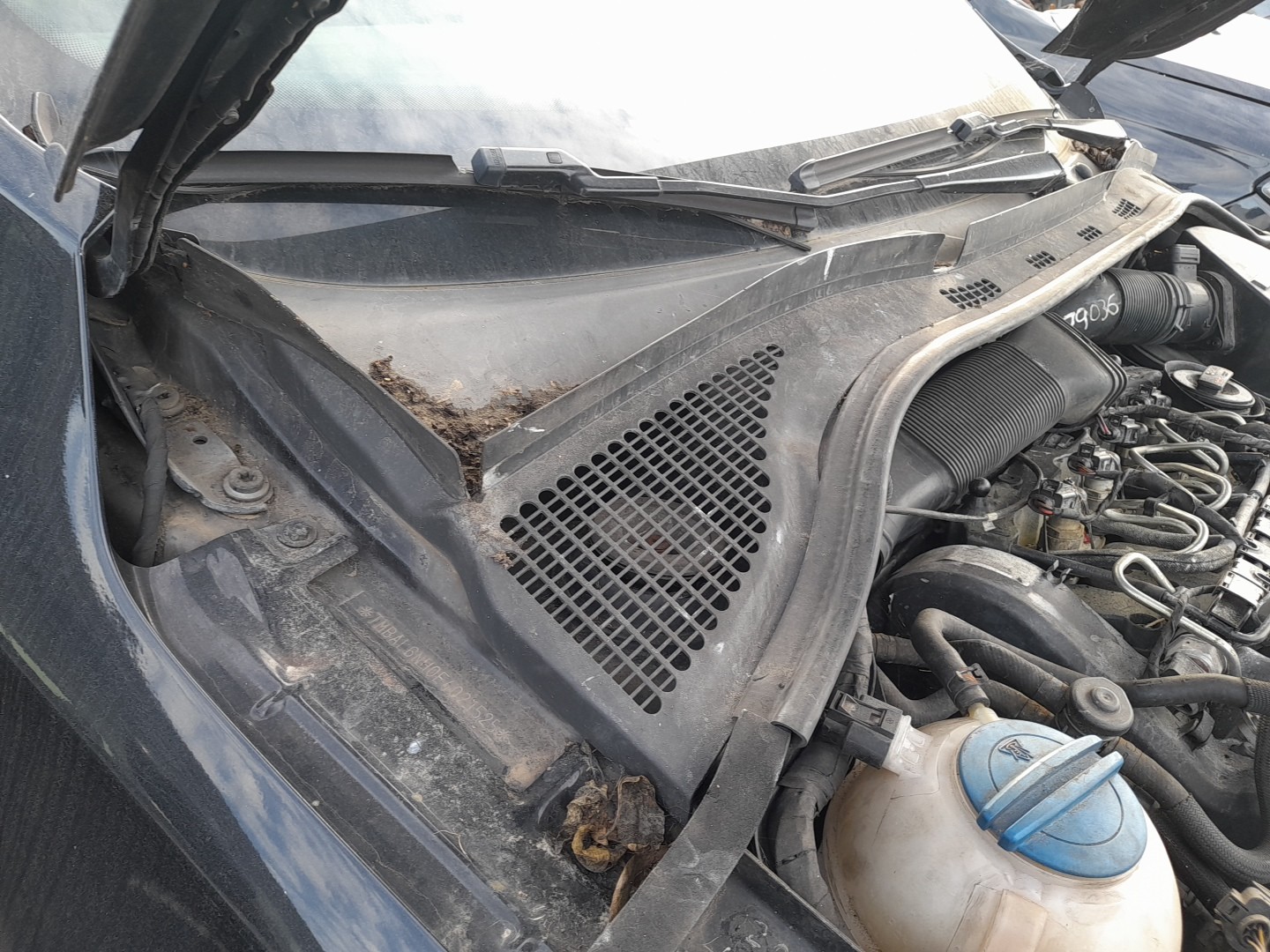 Torpedo SKODA Rapid Liftback (NH3) Imagem-1