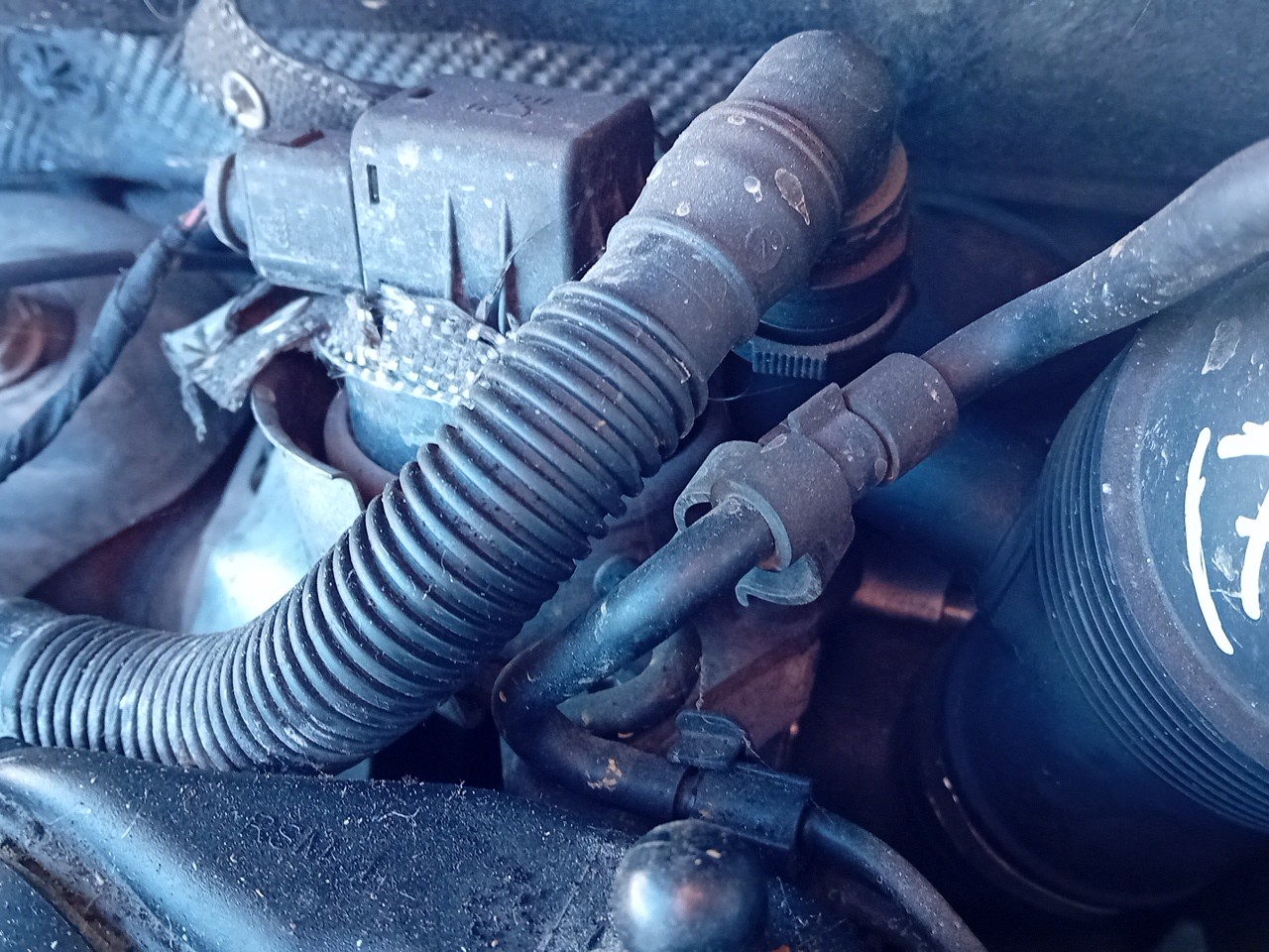 Turbo / compressor