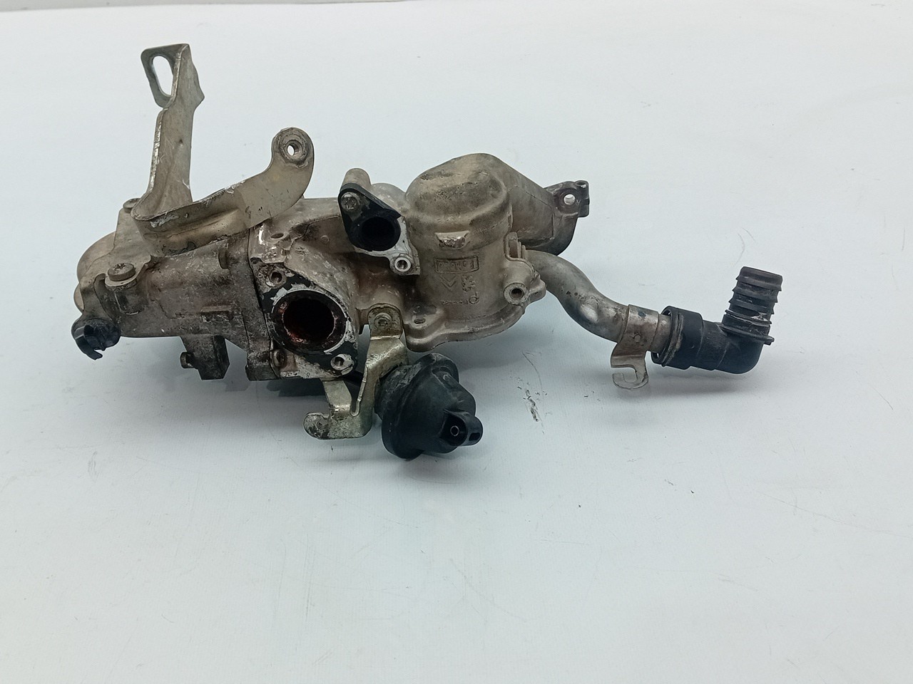 Radiateur de gaz EGR FORD Focus III Imagem-1