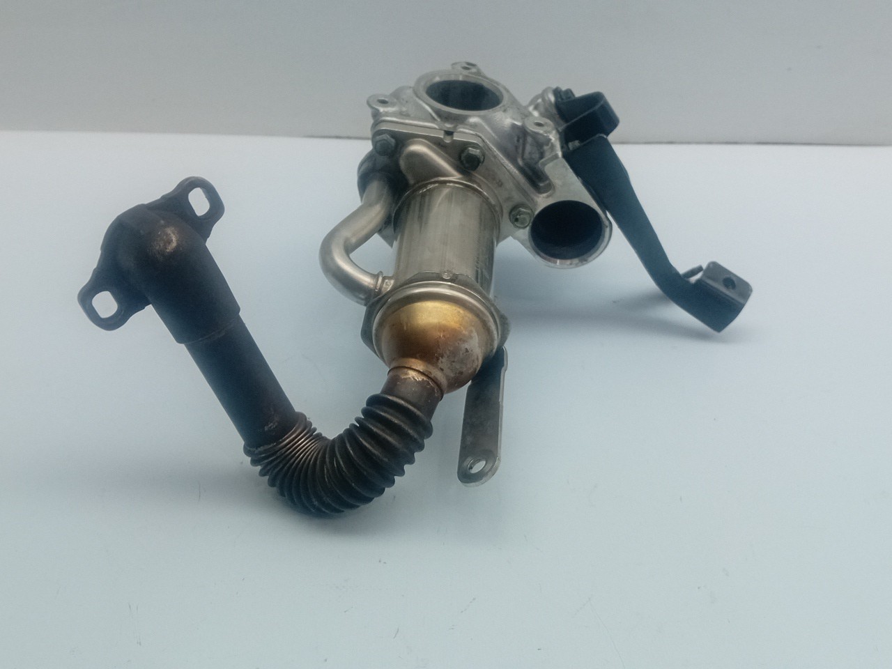 EGR gas radiator RENAULT Megane III (BZ0_) Imagem-2