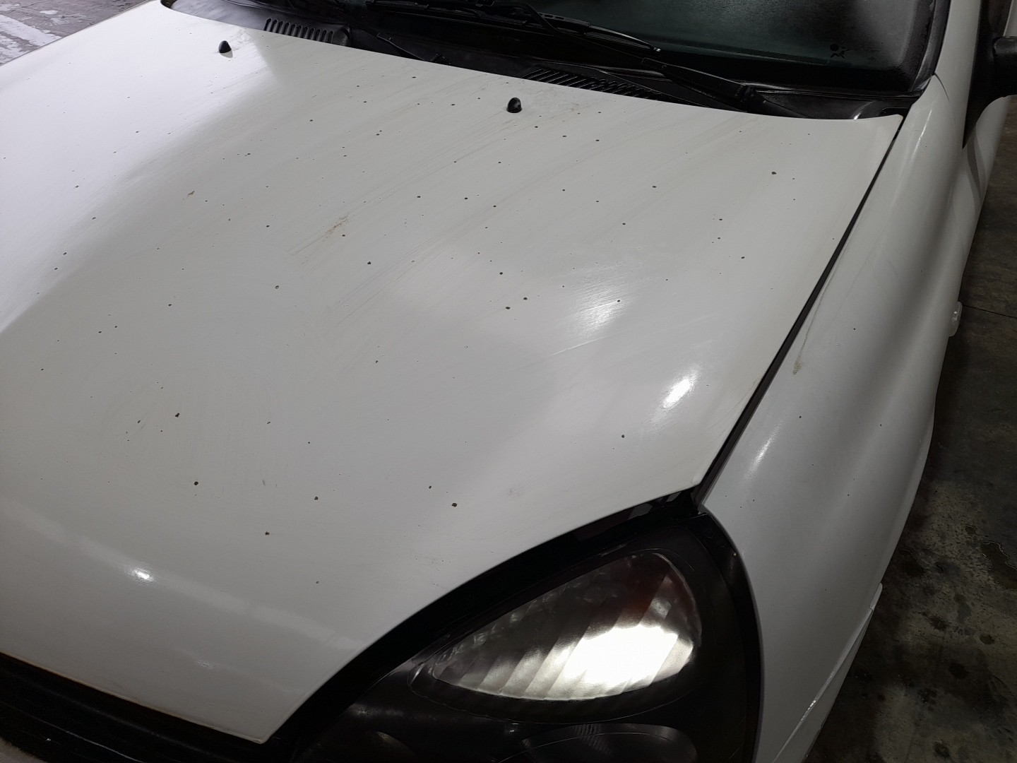 Capot RENAULT Clio II Société (SB0/1/2_) Imagem-2