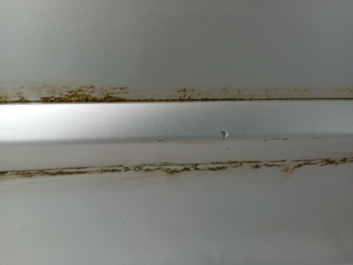 Puerta Delantero Derecho PEUGEOT 407 Coupé (6C_) Imagem-1