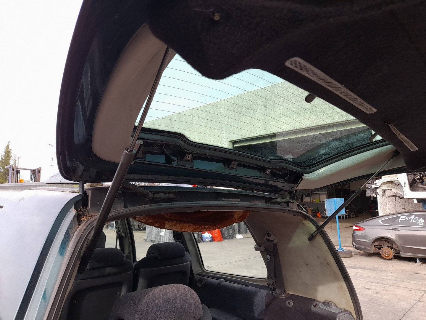 Trunk Shock Absorber