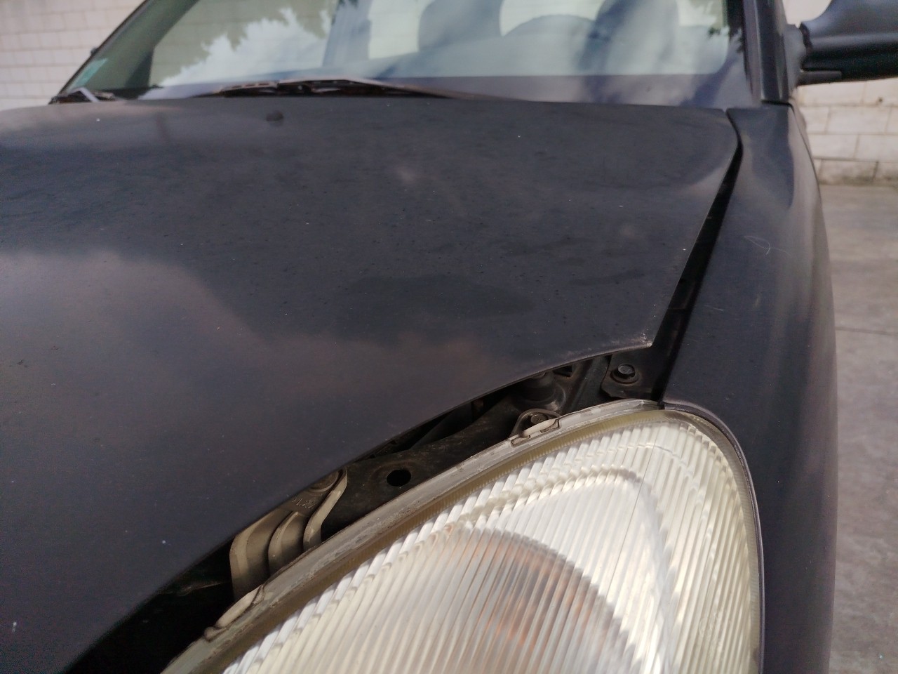 Capot DAIHATSU Sirion (M1) Imagem-1
