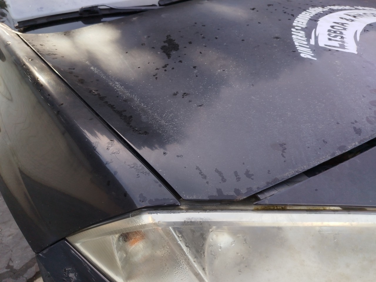 Capot RENAULT Megane II Break Société (KM_) Imagem-1