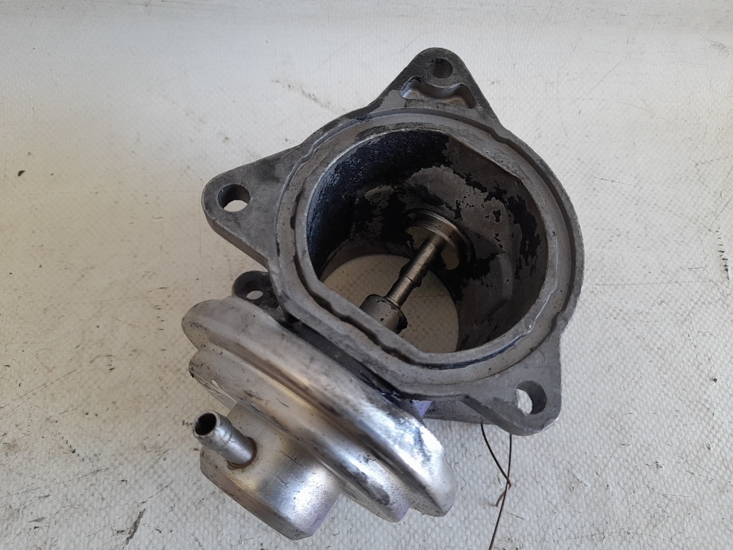 Válvula EGR AUDI A3 (8P1) Imagem-1