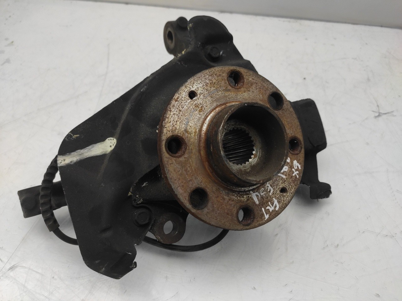 Fusello anteriore sinistro