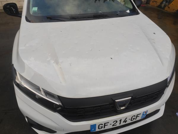 Sandero II  DACIA Sandero II (5S_) Imagem-2