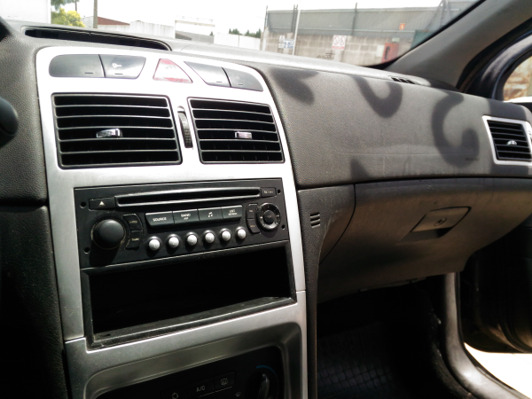 307  PEUGEOT 307 (3A/C) Imagem-9