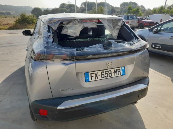 2008 II  PEUGEOT 2008 II (U_) Imagem-5