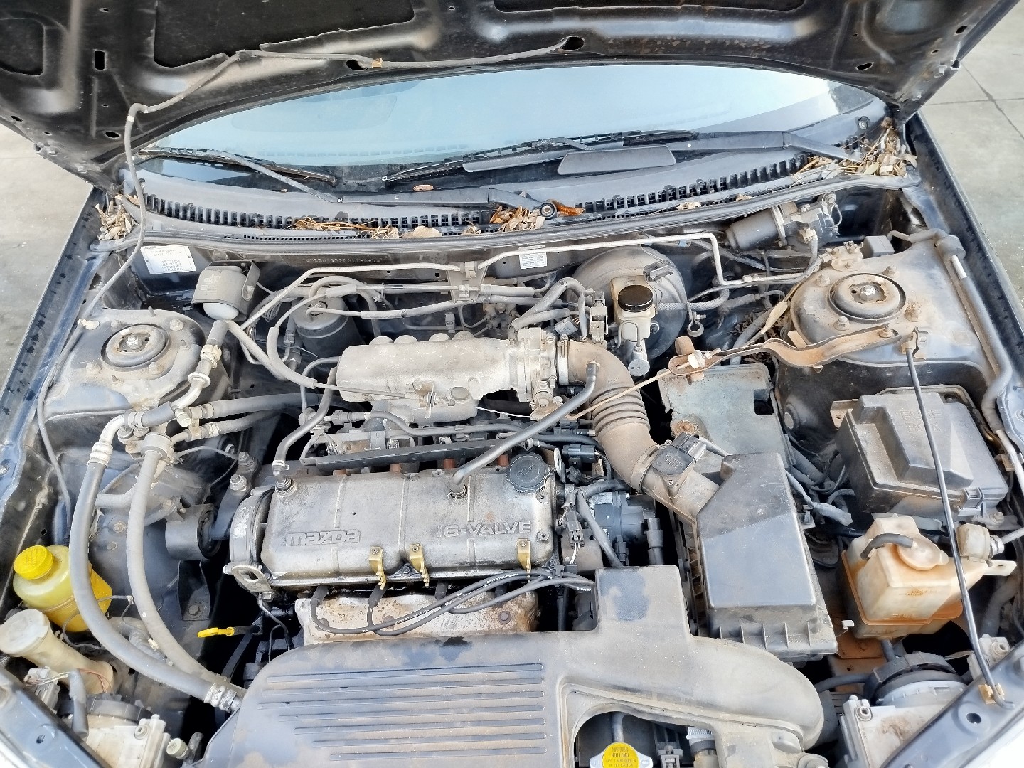 323 S VI  MAZDA 323 S VI (BJ) Imagem-11