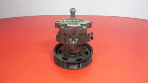 Steering pump SEAT Ibiza II (6K1)