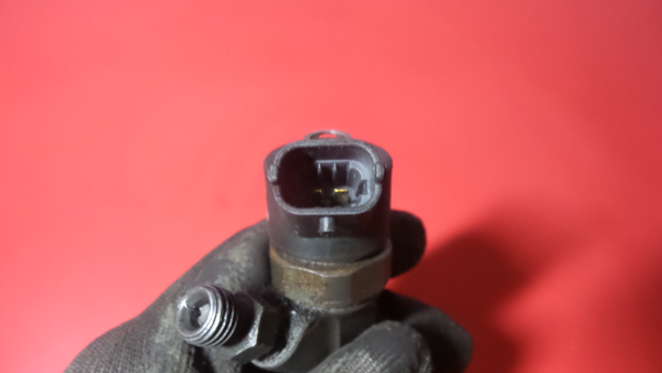 Injector LAND ROVER Freelander (L314) Imagem-2