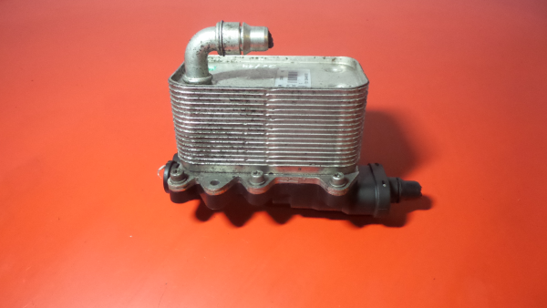 Radiador do óleo BMW X3 (E83) Imagem-2