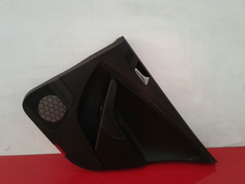 Panel puerta trasero derecho VOLKSWAGEN Passat (3C2) Imagem-0