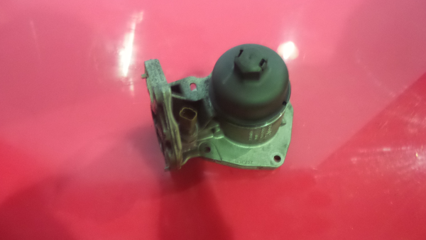 Oil filter cap / housing LAND ROVER Range Rover Evoque (L538) Imagem-1