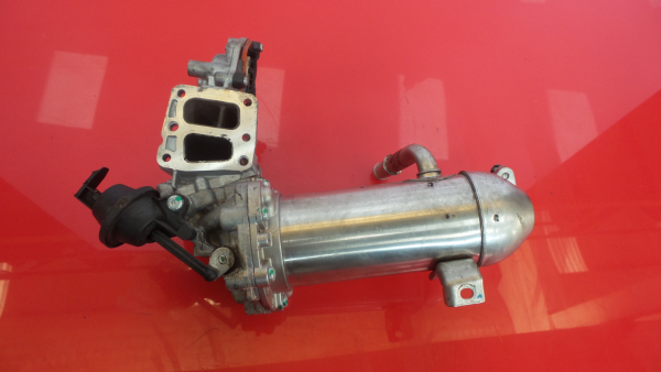 Radiador de gases / EGR FORD Transit Custom Imagem-4