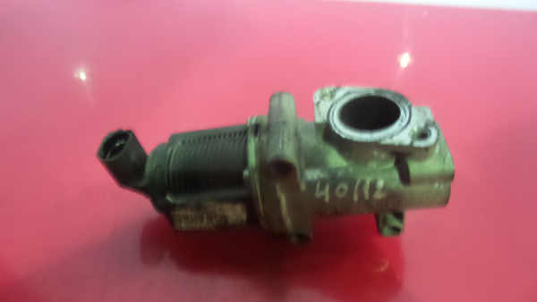 Válvula EGR FIAT Grande Punto (199_) Imagem-1