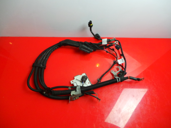 Cablagem motor MERCEDES-BENZ Classe S (W222, V222, X222)