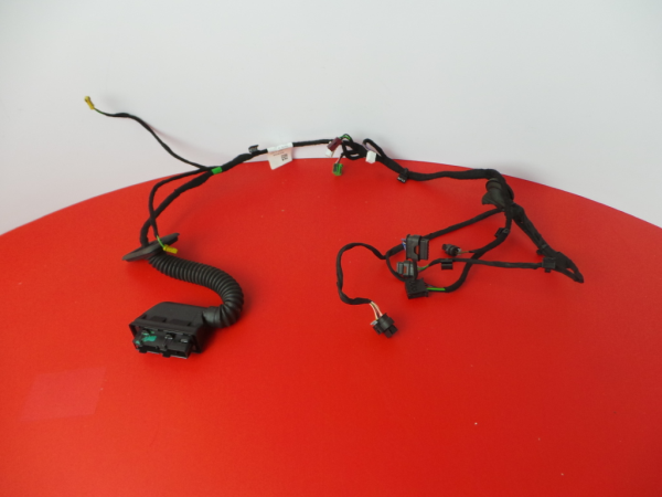 Cablagem motor MERCEDES-BENZ Classe S (W222, V222, X222)
