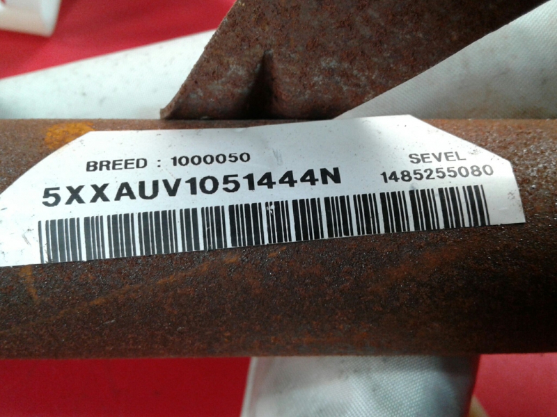 Airbag a Tendina Destra FIAT Ulysse (179_) Imagem-1