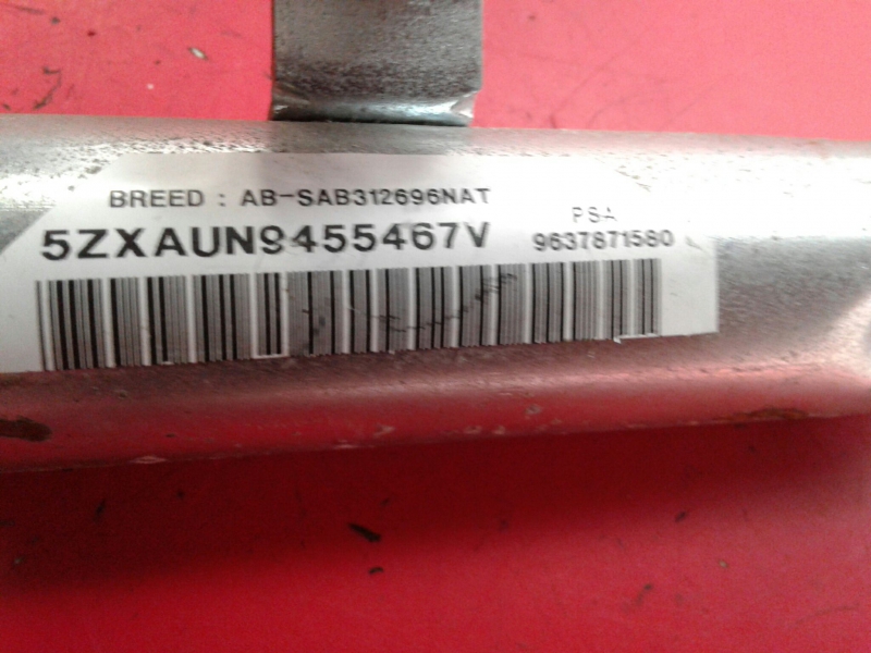 Airbag cortina esquerdo PEUGEOT 307 (3A/C) Imagem-2