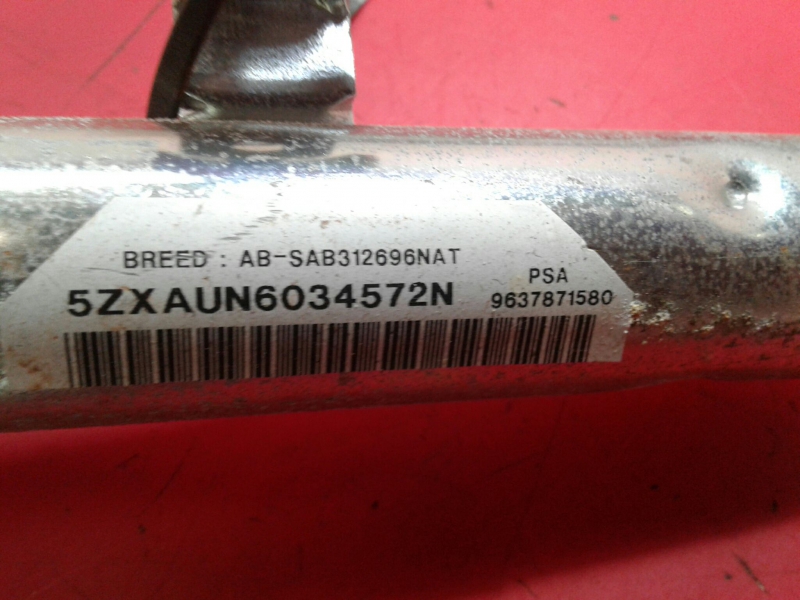 Airbag cortina esquerdo PEUGEOT 307 (3A/C) Imagem-2