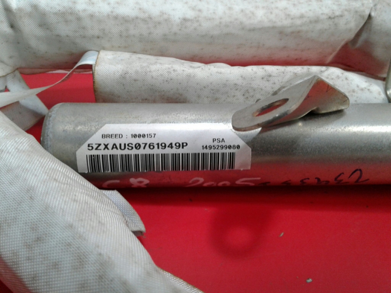 Airbag cortina esquerdo CITROËN C8 (EA_, EB_) Imagem-1