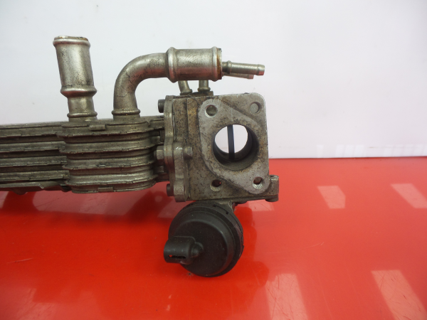 Radiador de gases / EGR VOLKSWAGEN Golf V (1K1) Imagem-4