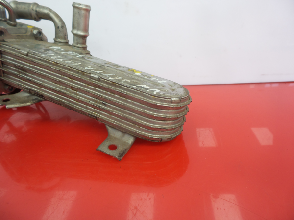 Radiador de gases / EGR VOLKSWAGEN Jetta III (1K2) Imagem-1